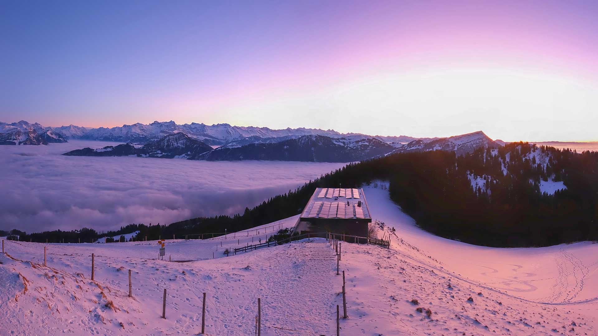 Wildspitz Webcam